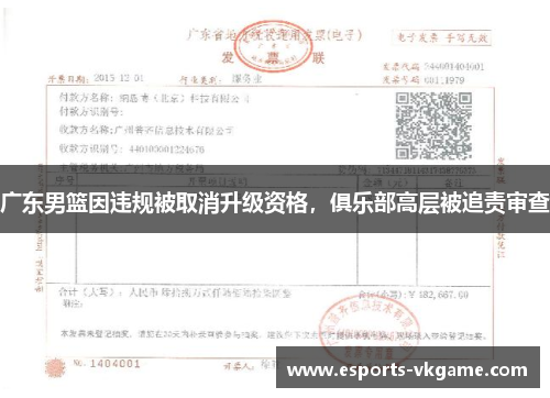 广东男篮因违规被取消升级资格，俱乐部高层被追责审查